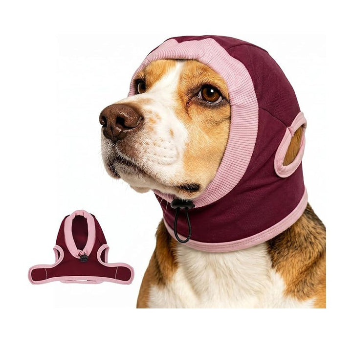 Dog head protection Bowlift