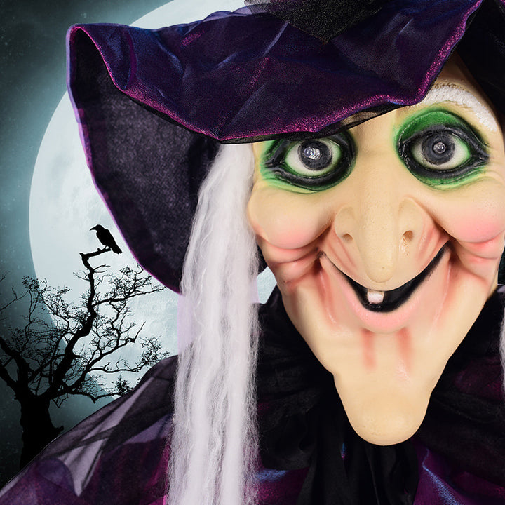 Animated Witch Decoration Bowlift