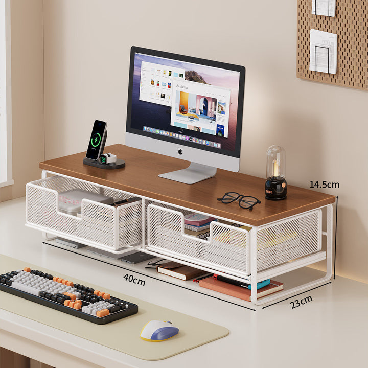 Multi-Functional Desk Organizer with Mesh Storage Bins Bowlift