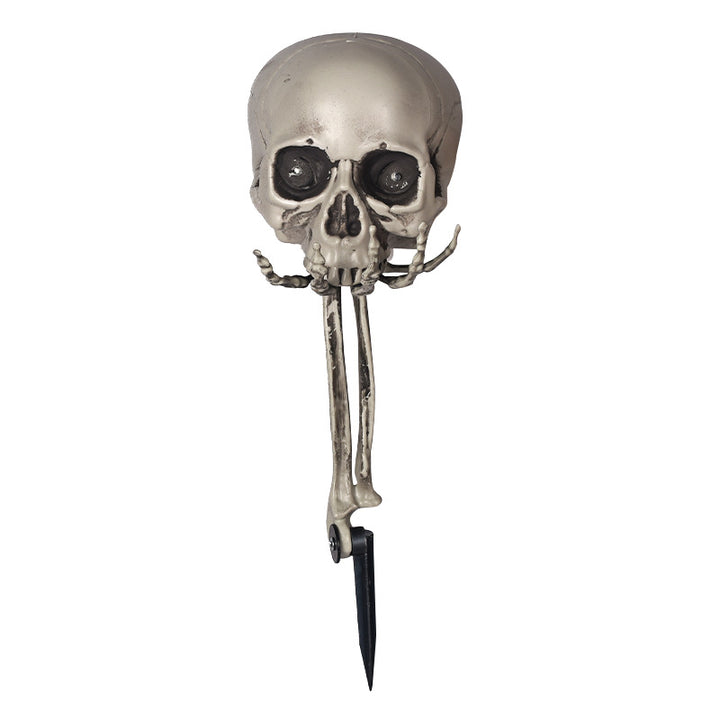 Creepy Decorative Skeleton Head Prop Bowlift