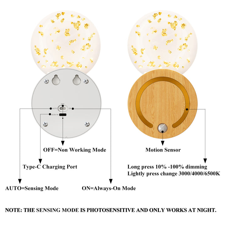 Decorative LED Wall Light