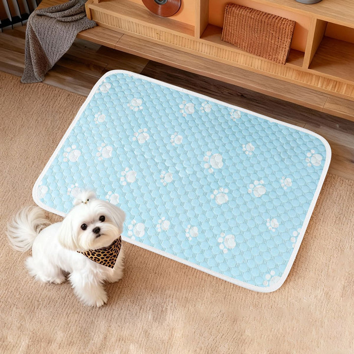 Pet Mat with Non-Slip Backing and Machine-Washable Fabric