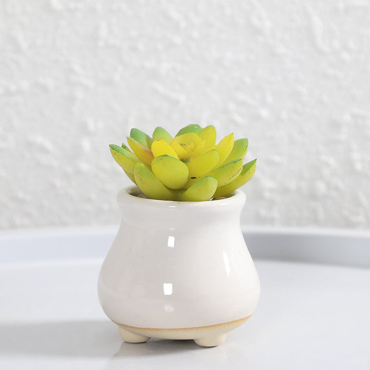 Miniature Decorative Flower Pot Bowlift