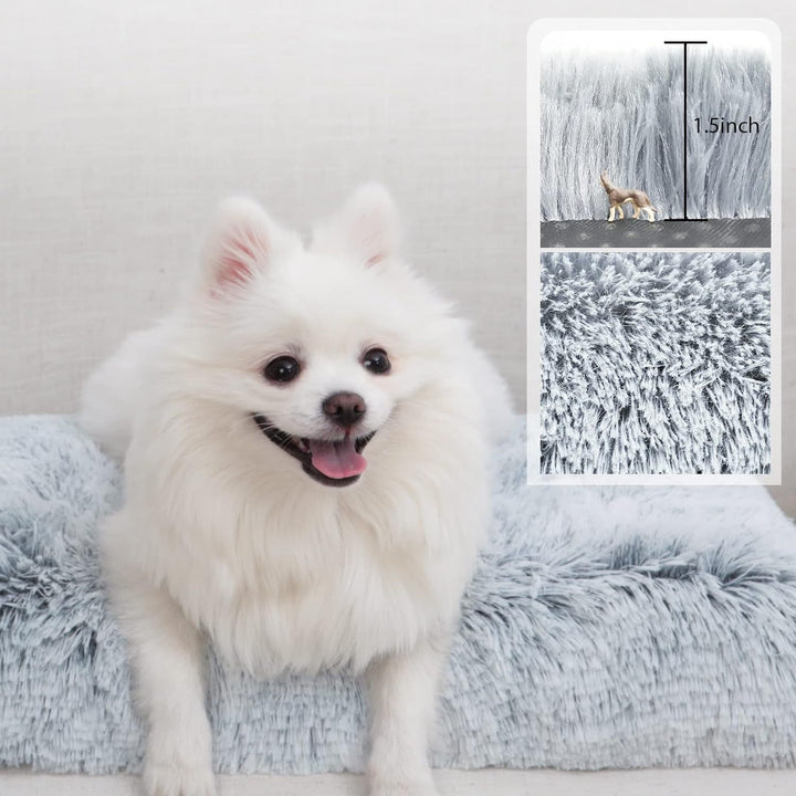 Pet Bed Bowlift
