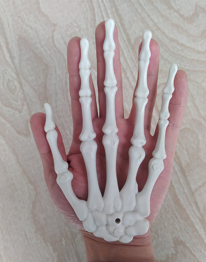 Anatomical Hand Skeleton Model Bowlift