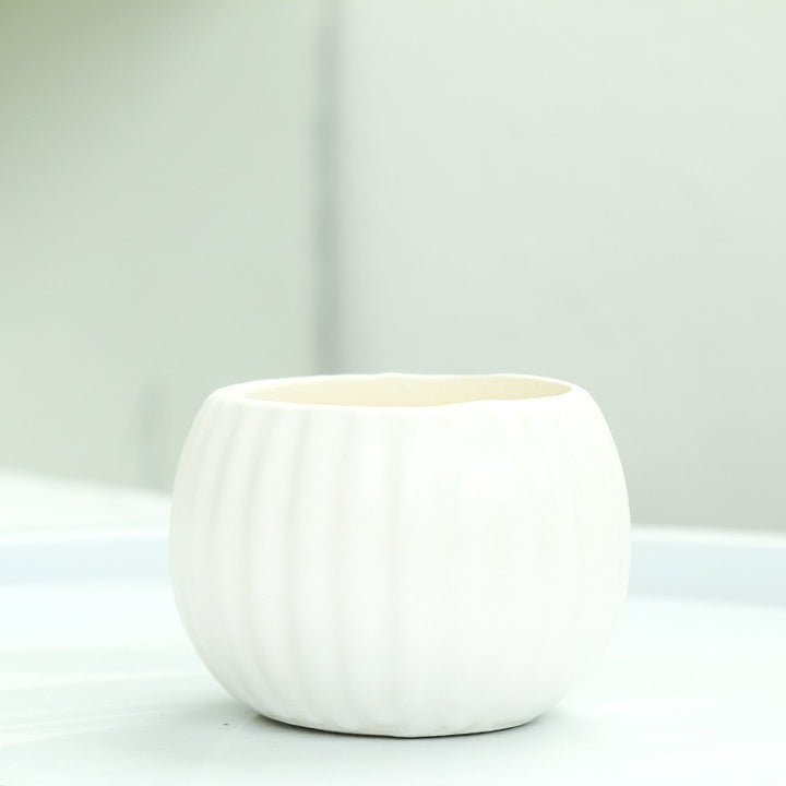 Ribbed Ceramic Planter Bowlift