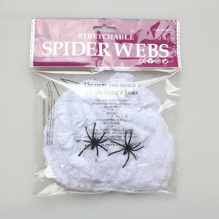 Decorative Spider Web Decor