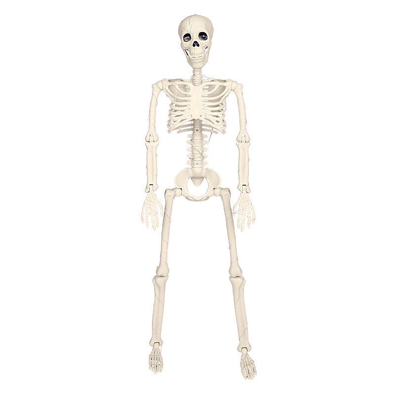 Decorative Luminous Skeleton Bowlift