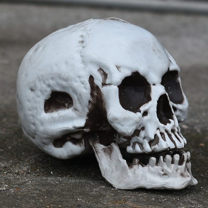 Decorative Skull Smartphone Stand Bowlift