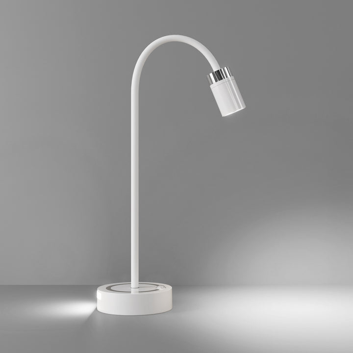 Modern Adjustable LED Desk Lamp