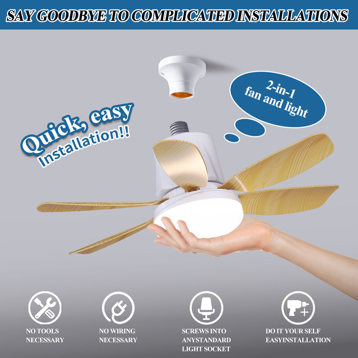 Ceiling Fan