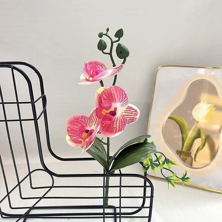 Lifelike Orchid Arrangement