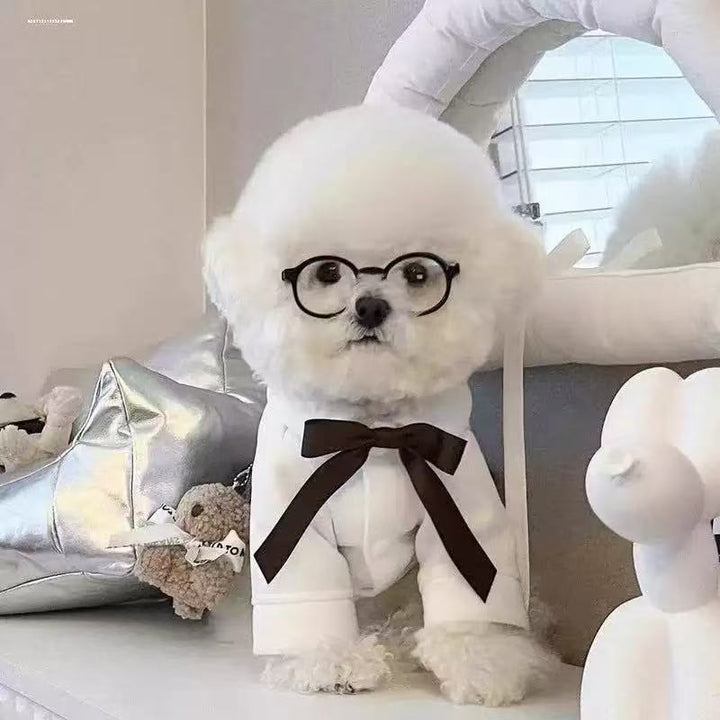 Pet Sunglasses Bowlift