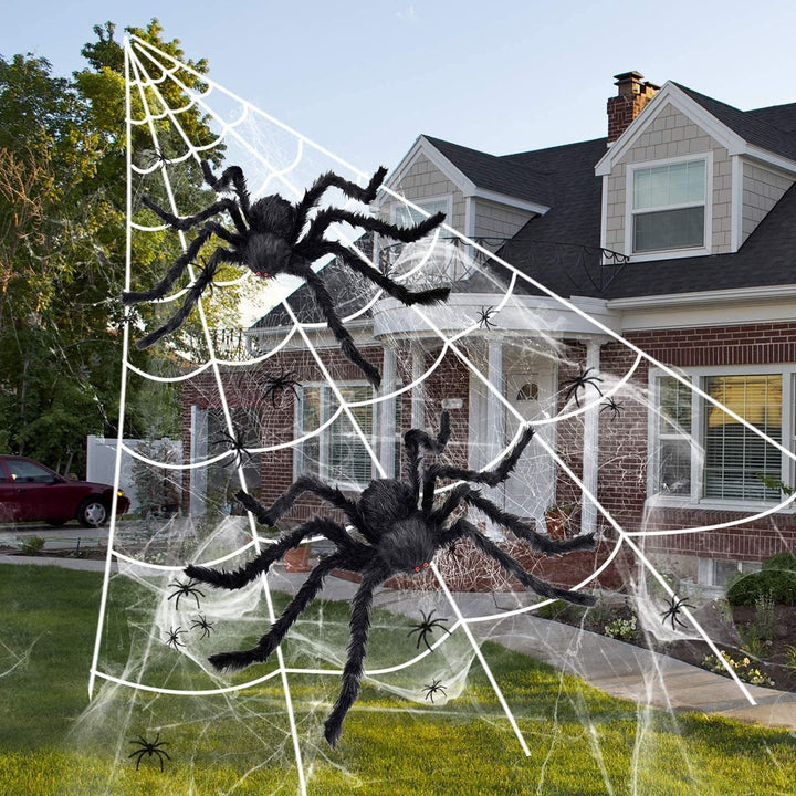 Halloween Decorative Spider Bowlift