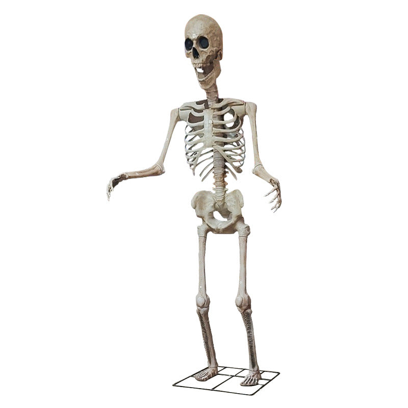 Life-Size Anatomical Skeleton Prop Bowlift