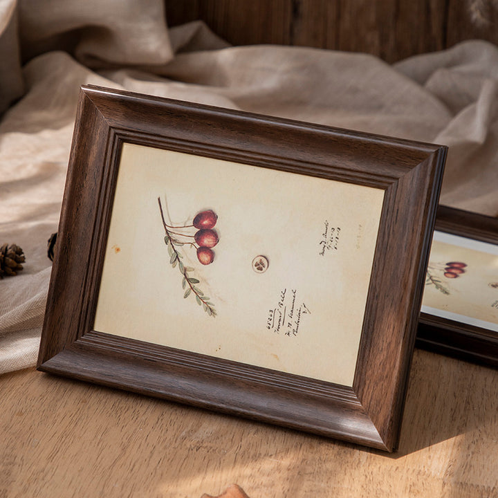 Floral Illustration Display Frame