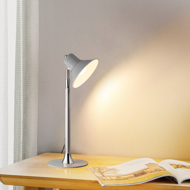 Adjustable Floor Lamp