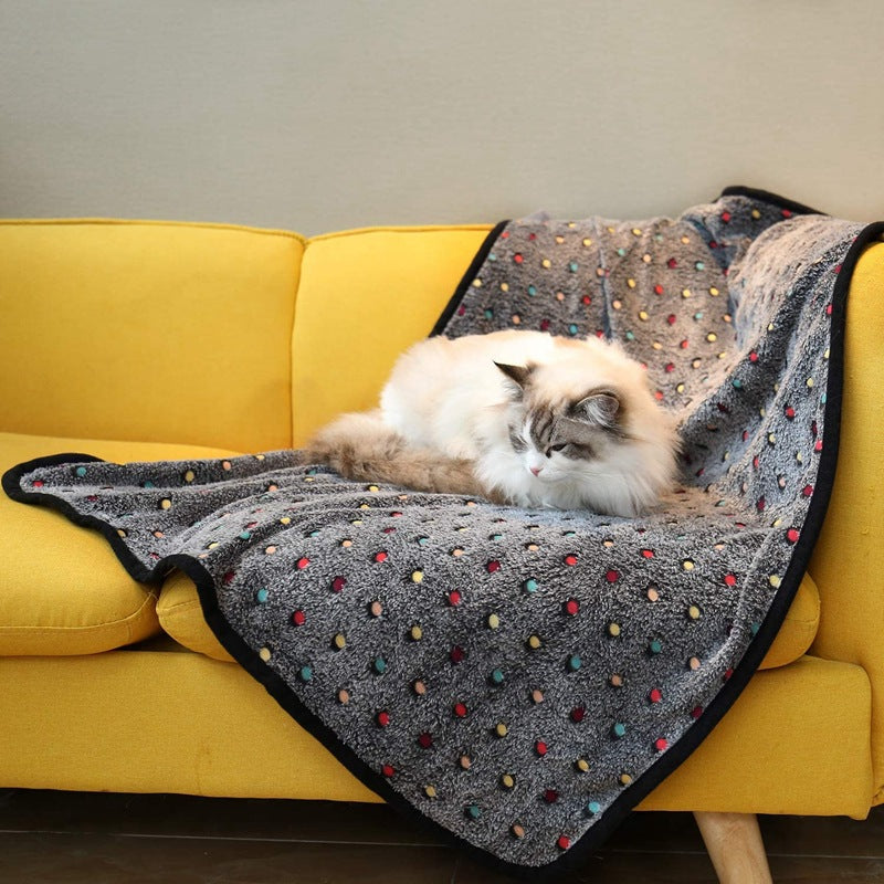 Ladies Cozy Microfiber Blanket with Playful Pattern Bowlift