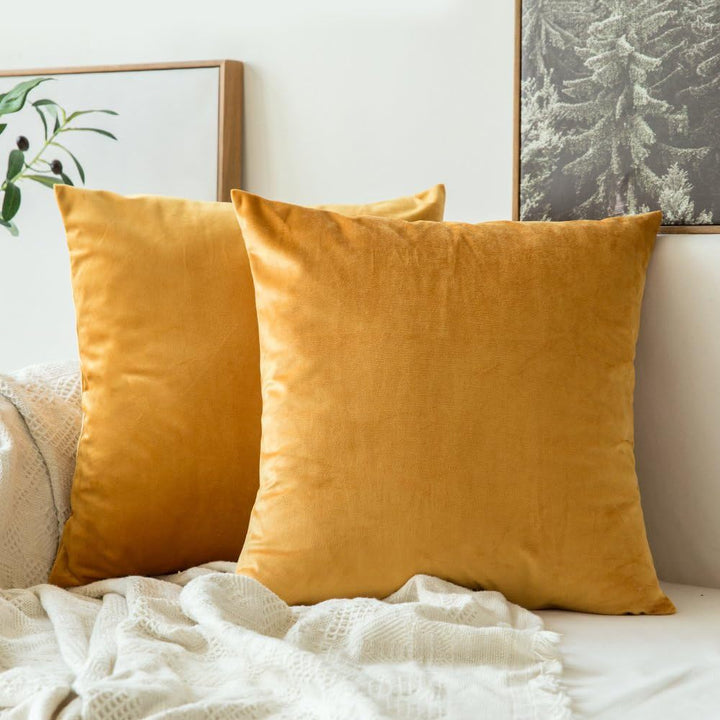 Velvet Square Decorative Throw Pillow Set Bowlift