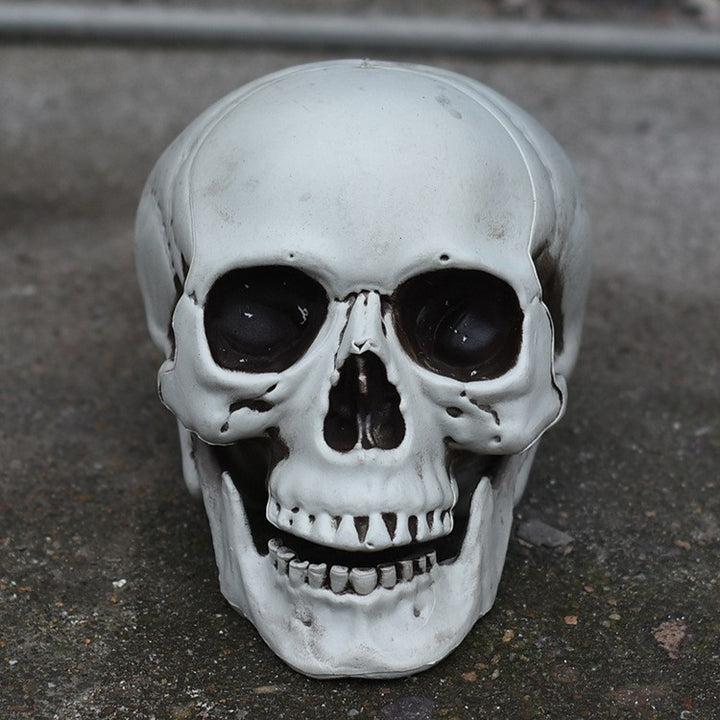 Decorative Skull Phone Stand Bowlift 1790561033
