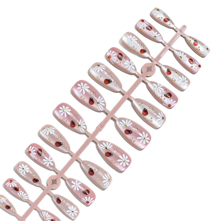 Premium Nail Art Enhancement Kit Bowlift