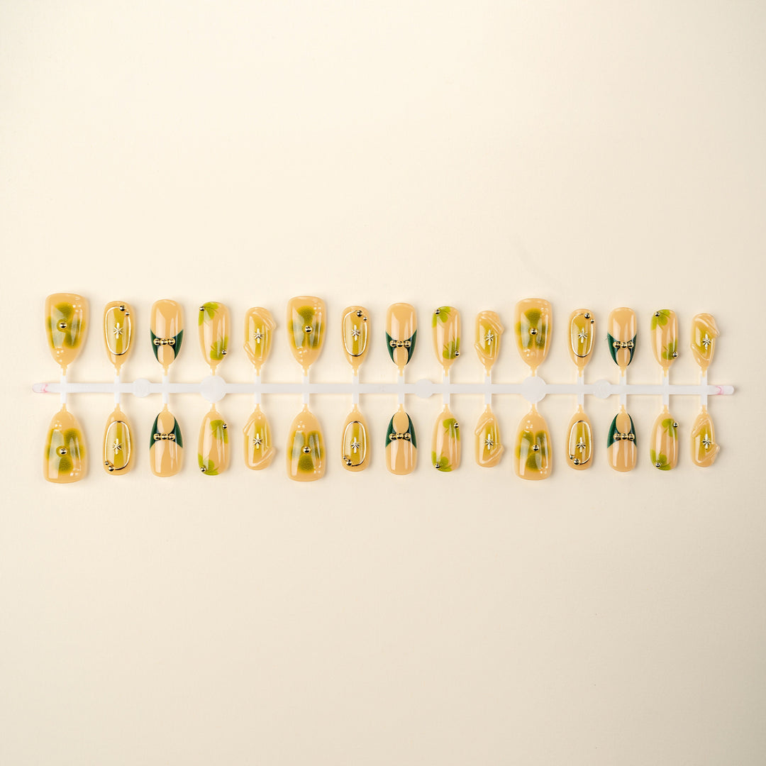 Elegant Nail Tips Set