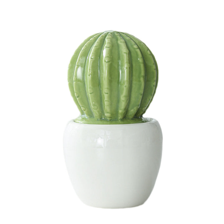 Decorative Ceramic Cactus Planter Bowlift