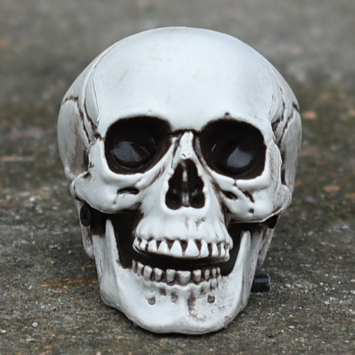 Decorative Skull Figurine Bowlift