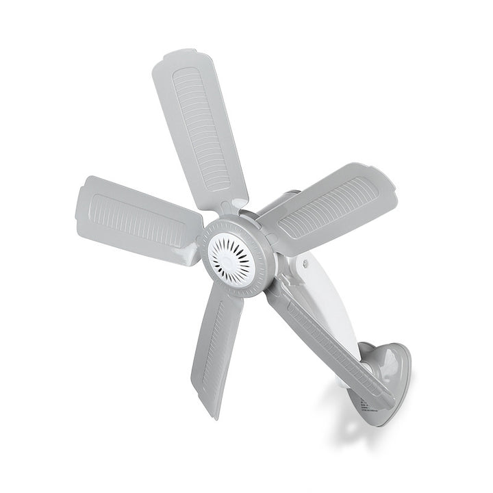 Women Wall Fan Bowlift