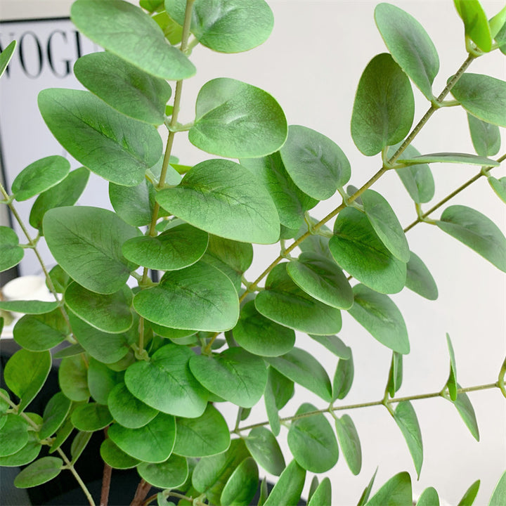Decorative Eucalyptus Branch