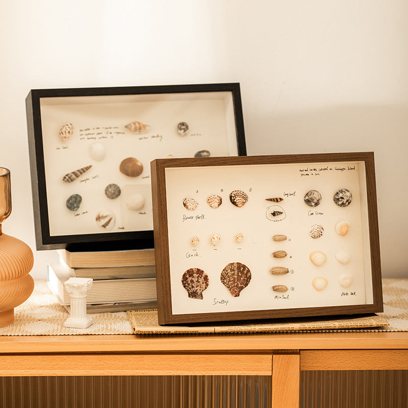Decorative Shell Shadow Box
