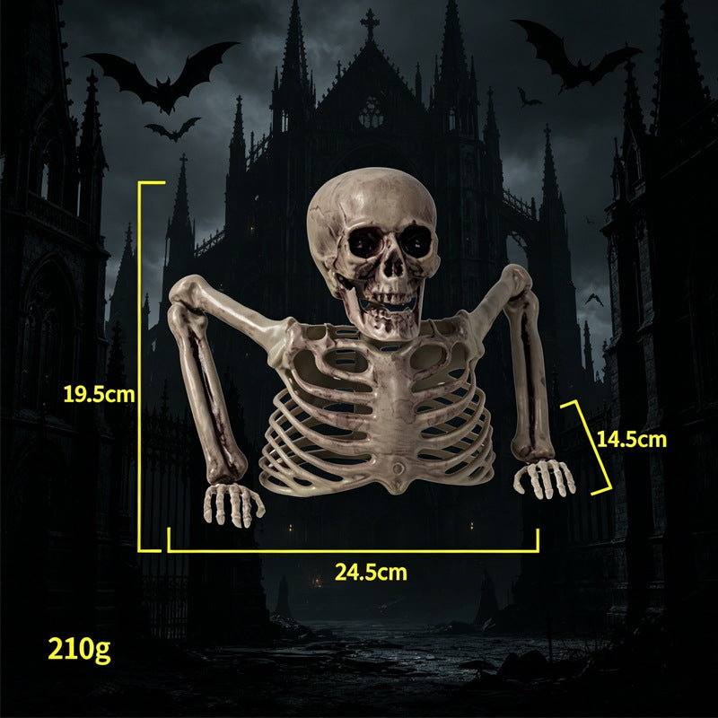 Realistic Skeleton Decoration Bowlift