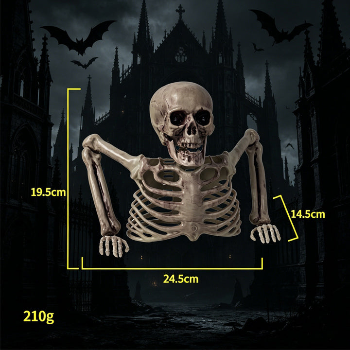 Realistic Skeleton Decoration Bowlift