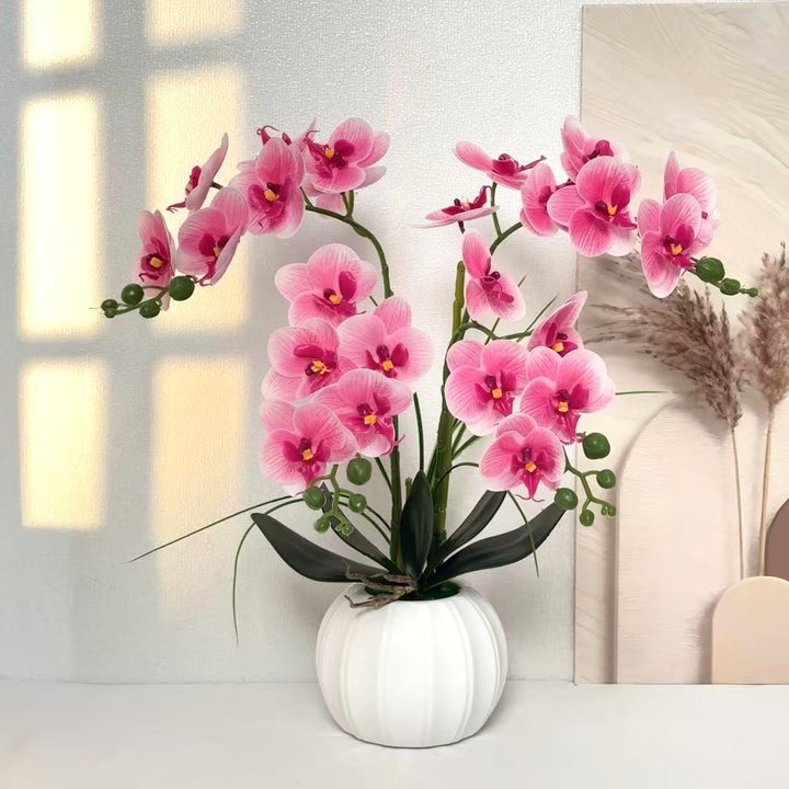 Elegant Realistic Orchid Arrangement