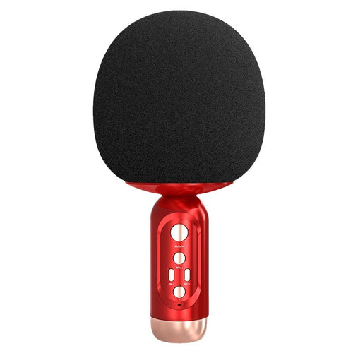 Portable Karaoke Microphone Bowlift