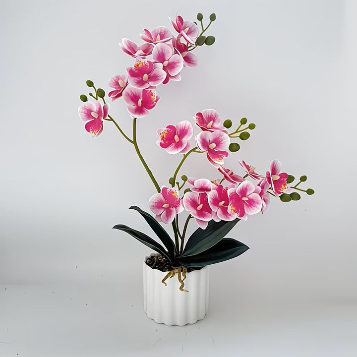 Artificial Orchid Flower Display for Home Decor and Indoor Display