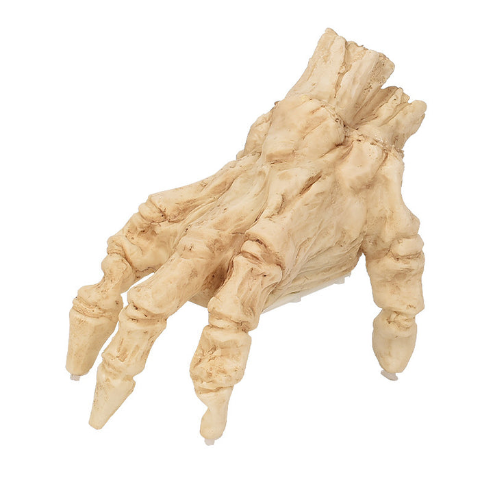 Realistic Decorative Severed Hand Prop Bowlift