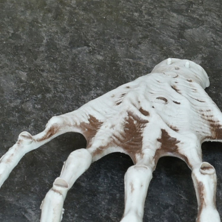 Creepy Realistic Skeleton Hand Prop Bowlift