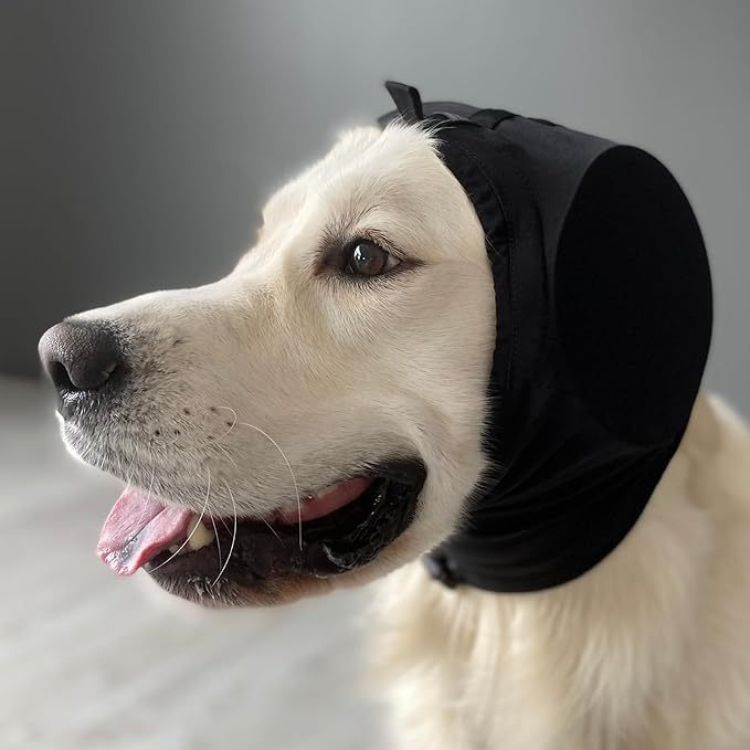 Comfortable and protective hat Bowlift