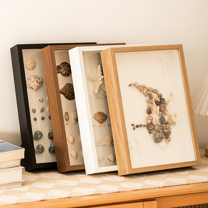Decorative Shell Shadow Box