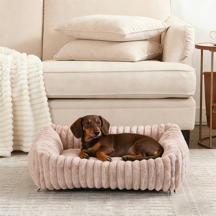 Plush Bolstered dog bed