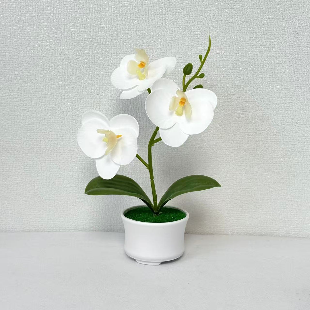 Artificial Orchid Plant for Indoor Home and Office Decor