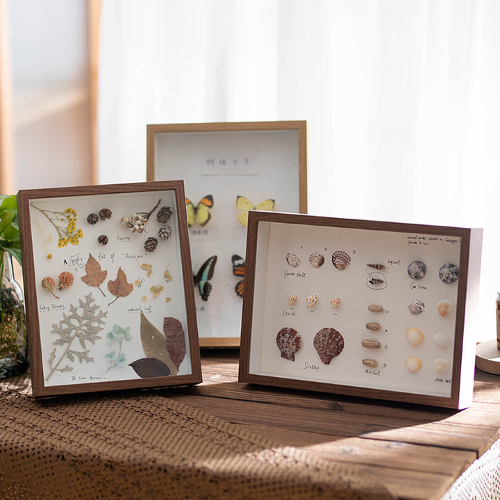 Botanical Shadow Box