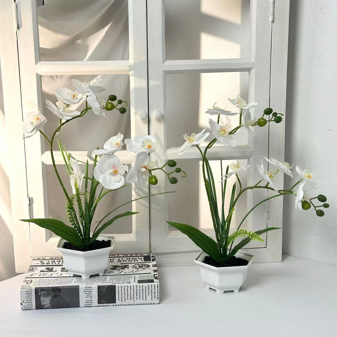 Home Decorative Artificial Orchid for Home Decor and Display