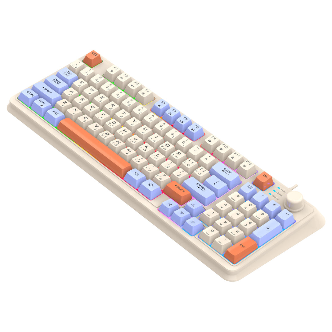 Wired RGB Mechanical Gaming Keyboard and Ergonomic Mouse Combo Bowlift