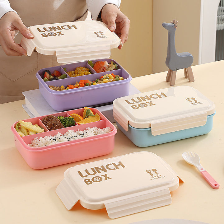 Stylish Portable Lunch Container