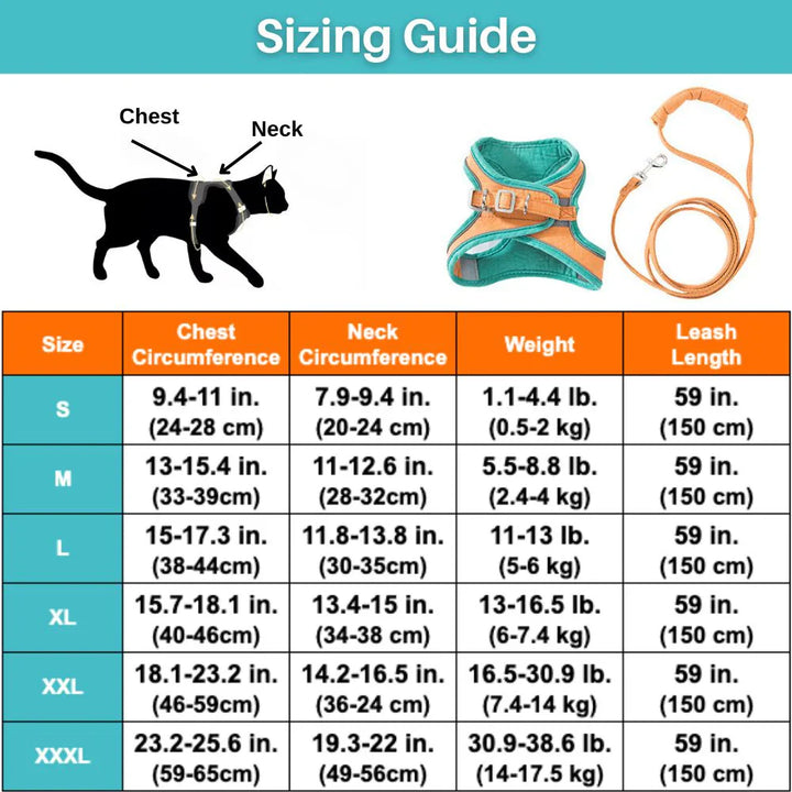 Cat Harness – Safe and Comfortable for Outdoor Adventures Bowlift