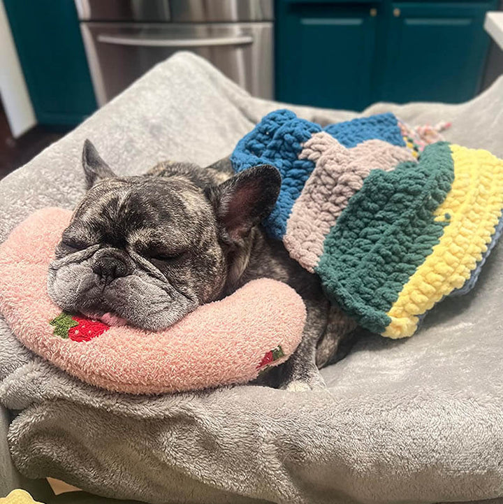 CozyPaws Cushion for Dogs - RelaxPad Bowlift