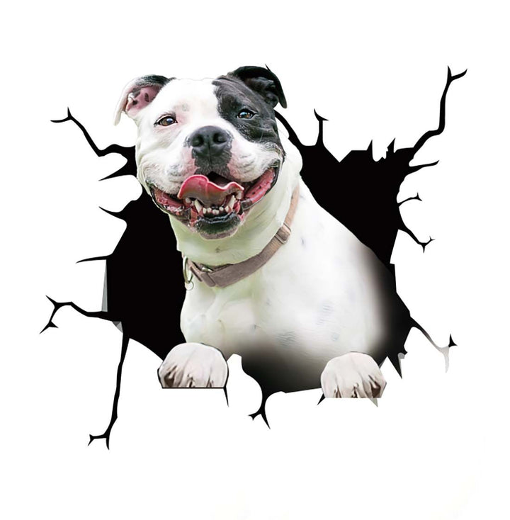 BowLift | Car Scratch Hider 3D Puppy Sticker