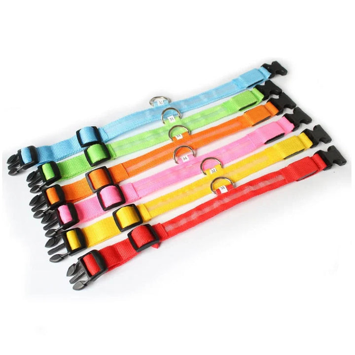 GlowCollar LED – BrightPaws Bowlift